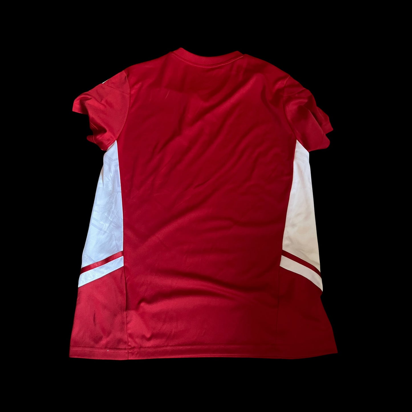 Aberdeen 2022/2023 Training Football Shirt Women’s Medium